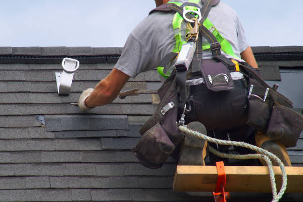 Best Roof Gutter Cleaning  in Everett, WA
