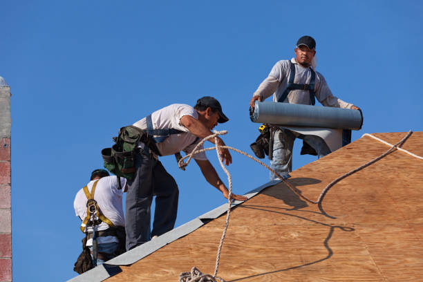 Best Local Roofing Companies  in Everett, WA