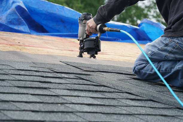 Best Roof Gutter Cleaning  in Everett, WA