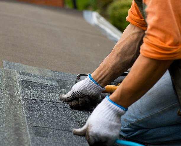Best Local Roofing Companies  in Everett, WA