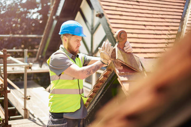 Best Roof Maintenance Services  in Everett, WA